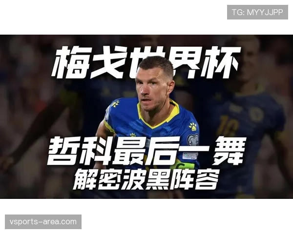 2026世界杯波黑队阵容预测 哲科领衔能否创造历史最佳战绩